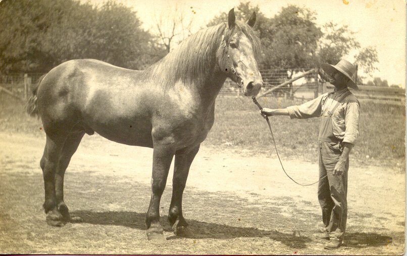 George Benton Fry with work horse
